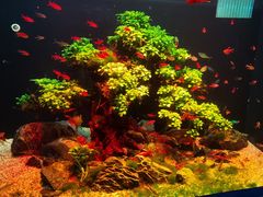 -多彩贵州城极地海洋世界