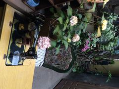 懒鱼时光馆-懒鱼时光馆(沙坪坝店)