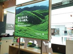 -小罐茶(济南恒隆广场店)