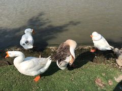-新地休闲农场