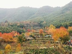 -塔川景区