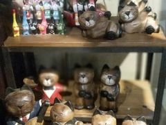 -猫咪博物馆(顶澳仔猫街店)