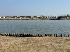 -春花秋色城市公园