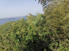 -天目湖山水园