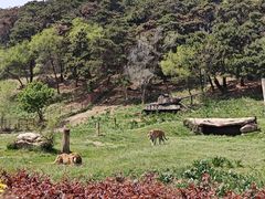 -沈阳森林动物园