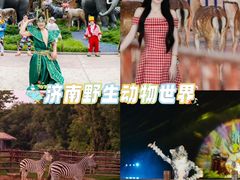 -济南野生动物世界