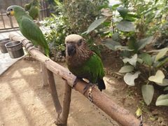 -南宫五洲植物乐园