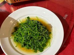 -宋园·金宴浙鲜馆(静安店)