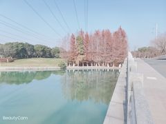 -九里河湿地公园
