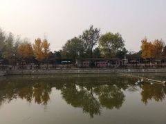 -亲兄弟真人CS团建拓展基地