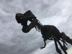 -二连浩特国家地质公园
