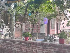 -三水森林公园