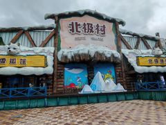 -海合安成都极地海洋公园