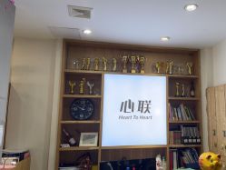 -心联形象设计·流星染