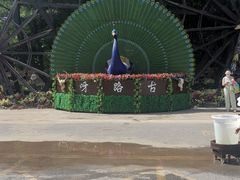 -呀路古热带植物园