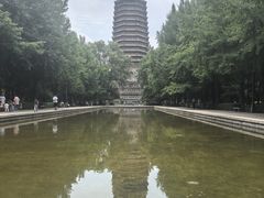 -玲珑塔公园
