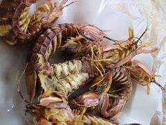 -阿古海鲜大排档(青澳湾自然之门六年好店)