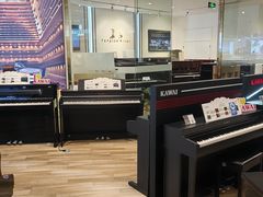 -柏斯琴行(汾阳店)