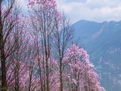 -九皇山景区