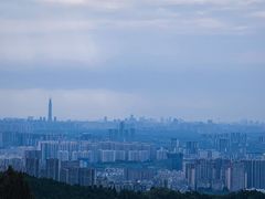 -桃源山庄·水蜜桃采摘·柴火鸡·烧烤团建(龙泉山店)