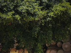 -尧坝古镇