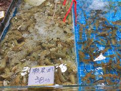 -东漖肉菜综合市场