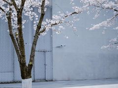 -龙美术馆(西岸馆)