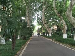 -中国科技大学-专家楼食堂