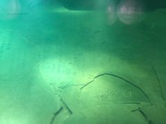 -白鹤梁水下博物馆