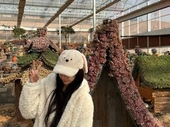 -沂蒙云瀑洞天景区