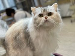 -Beauty Nails 美甲美睫皮肤管理