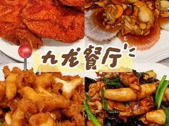 -九龙餐厅(大沽路店)