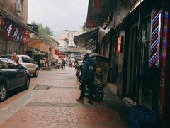 -老字号怡玺·藿香雅鱼(20年雅安店)