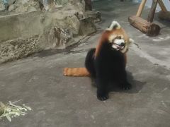 -柳州市动物园