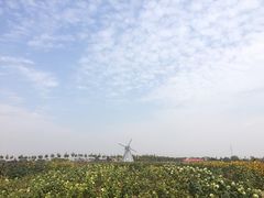 -金卉庄园