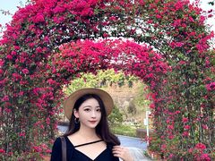 -东莞植物园