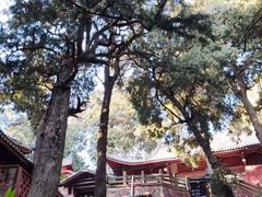 -七曲山风景区