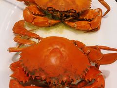-老字号蛇口德记烧腊饭店·海鲜加工