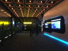 -奥斯卡升龙国际影城(RealD Cinema)