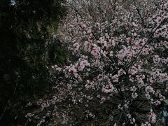 -慕田峪长城