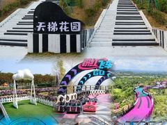 -盈香心动乐园