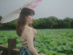 -荷塘月色湿地公园·向阳花洲