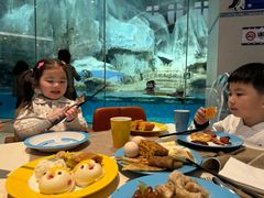 -帝企鹅自助餐厅•儿童岛•真企鹅(长隆企鹅酒店)