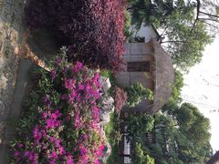 渭塘酒家(生态园店)-渭塘酒家(生态园店)