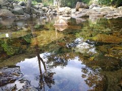 -广州市石门国家森林公园