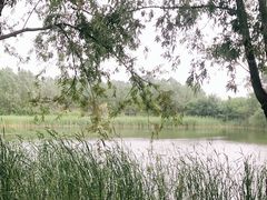 -东郊湿地公园