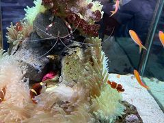 -太平洋海底世界