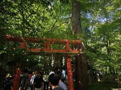 -野宫神社