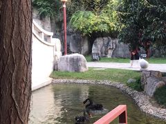 -西安曲江寒窑遗址公园