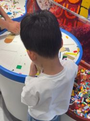 -乐高品牌旗舰店(人民广场店)